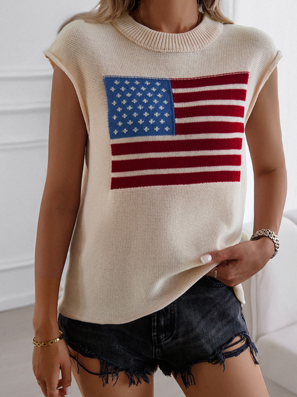 Devine US Flag Round Neck Sweater Vest 