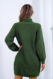 Buttoned Turtleneck Long Sleeve Sweater Dress Dresses