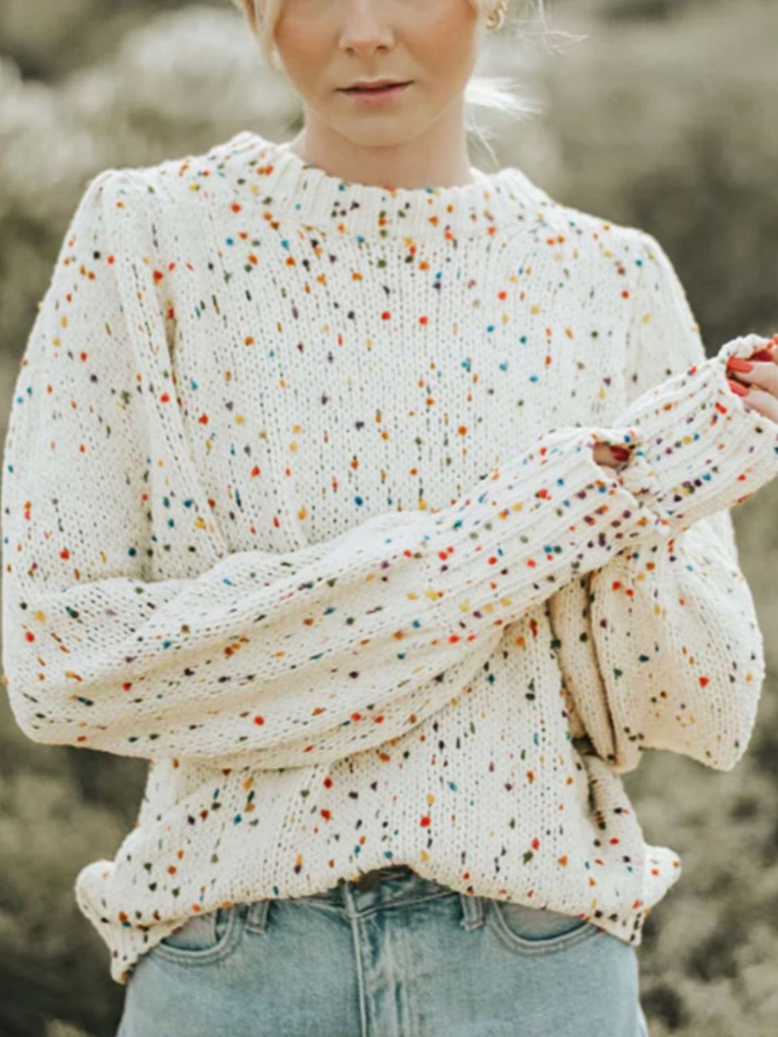 Confetti Round Neck Long Sleeve Sweater 