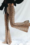 Leopard Print Flare Leg Pants Pants