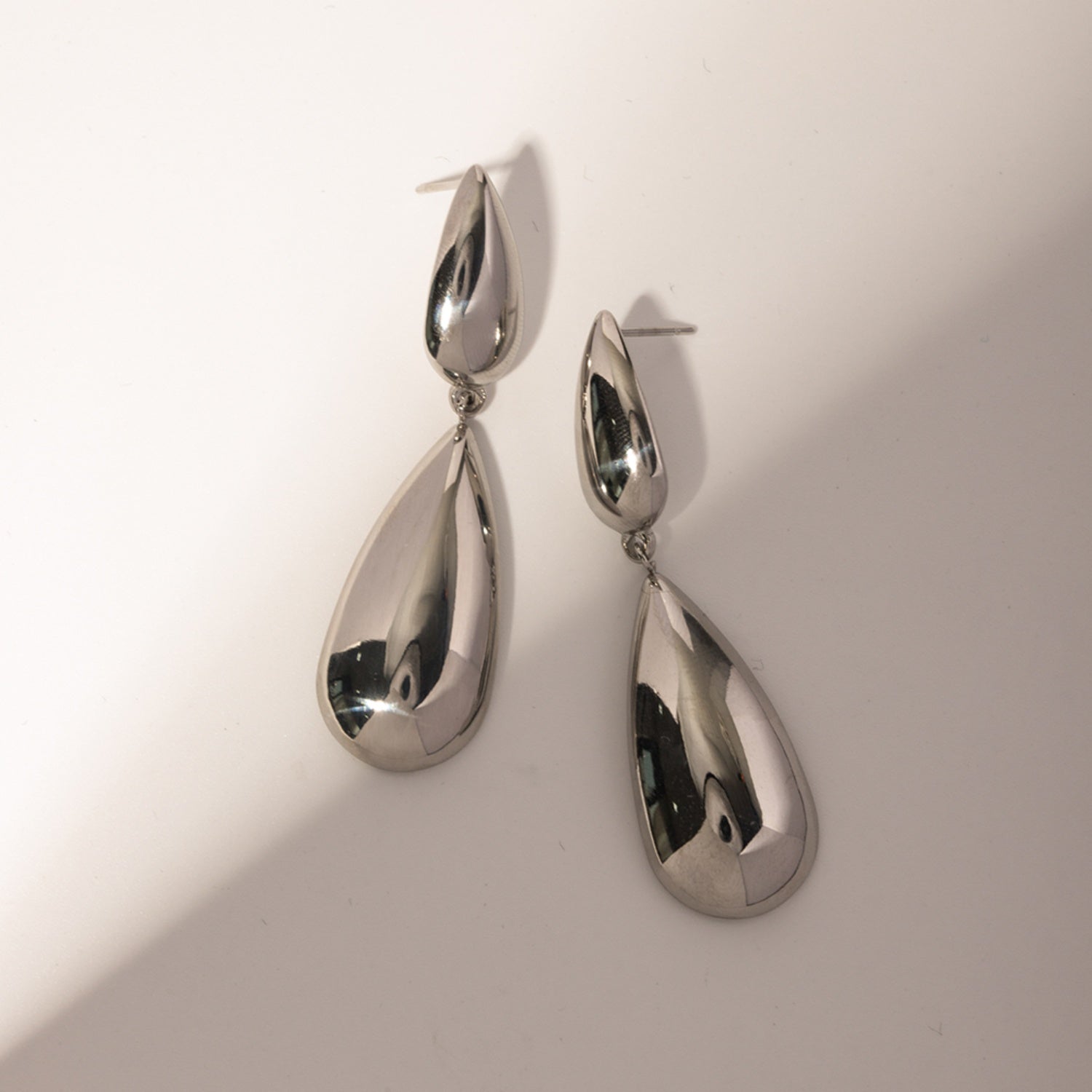 Stainless Steel Dangle Earrings 