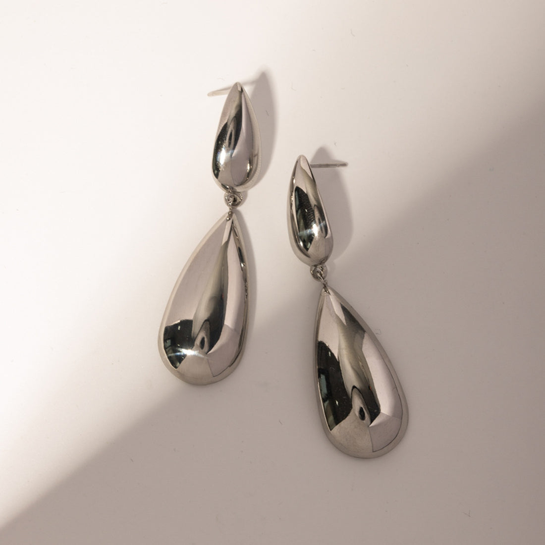Stainless Steel Dangle Earrings 