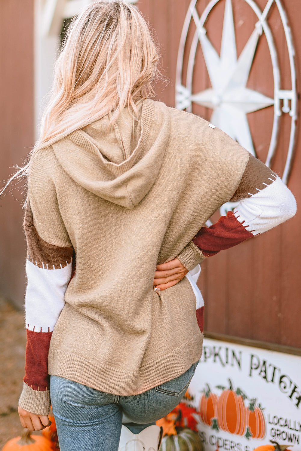 Color Block Kangaroo Pocket Hooded Sweater 