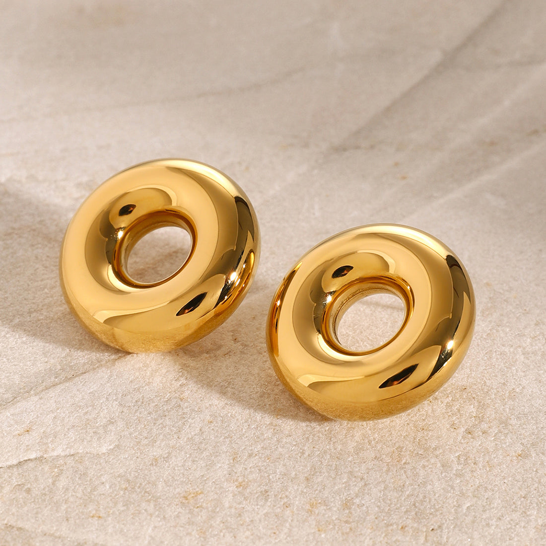 Stainless Steel Cutout Round Shape Earrings 