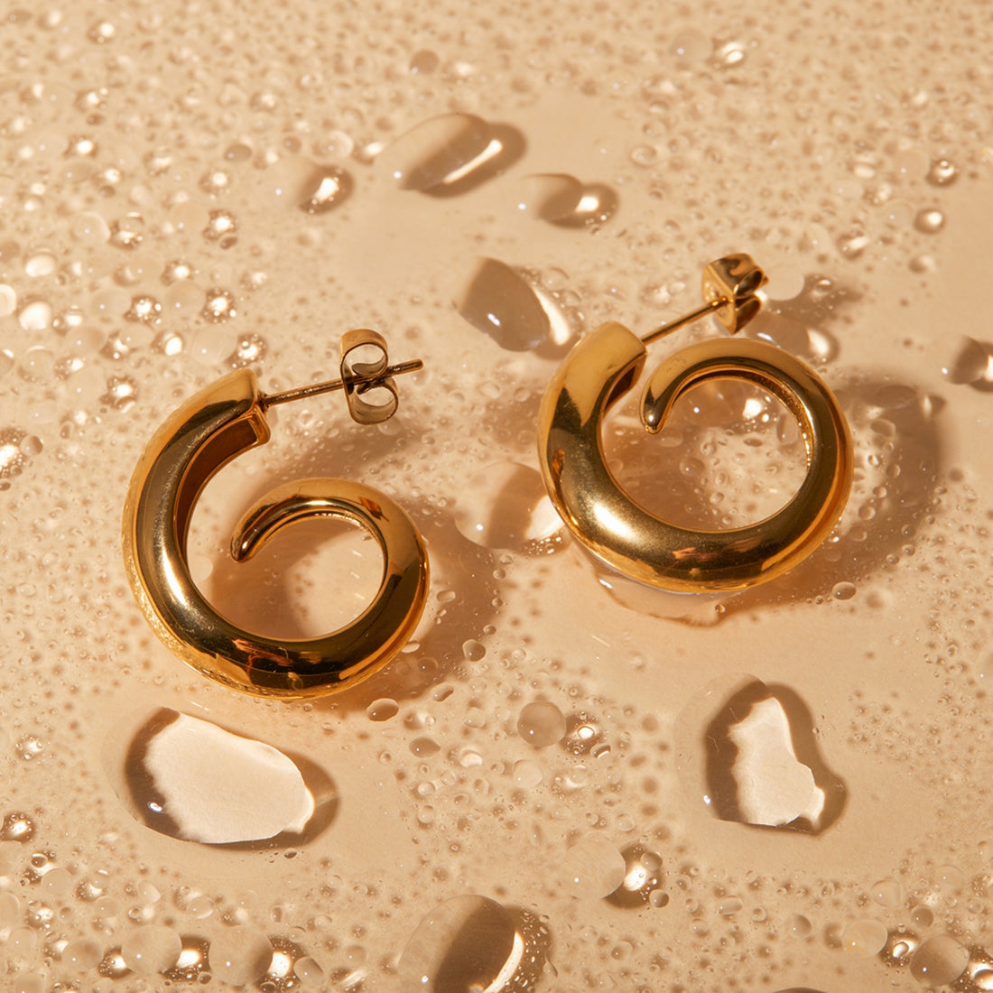 18K Gold-Plated Stainless Steel Earrings 