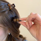 Acrylic Hair Claw Clip 
