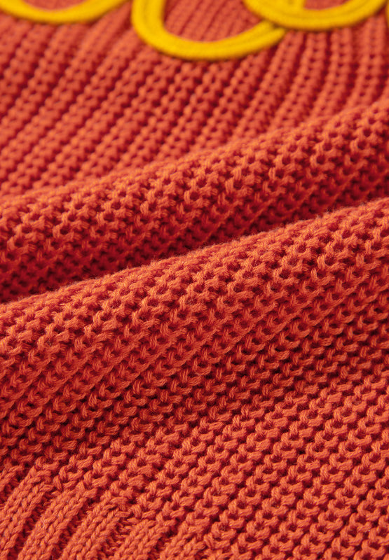 THANKS GIVING Round Neck Long Sleeve Sweater 