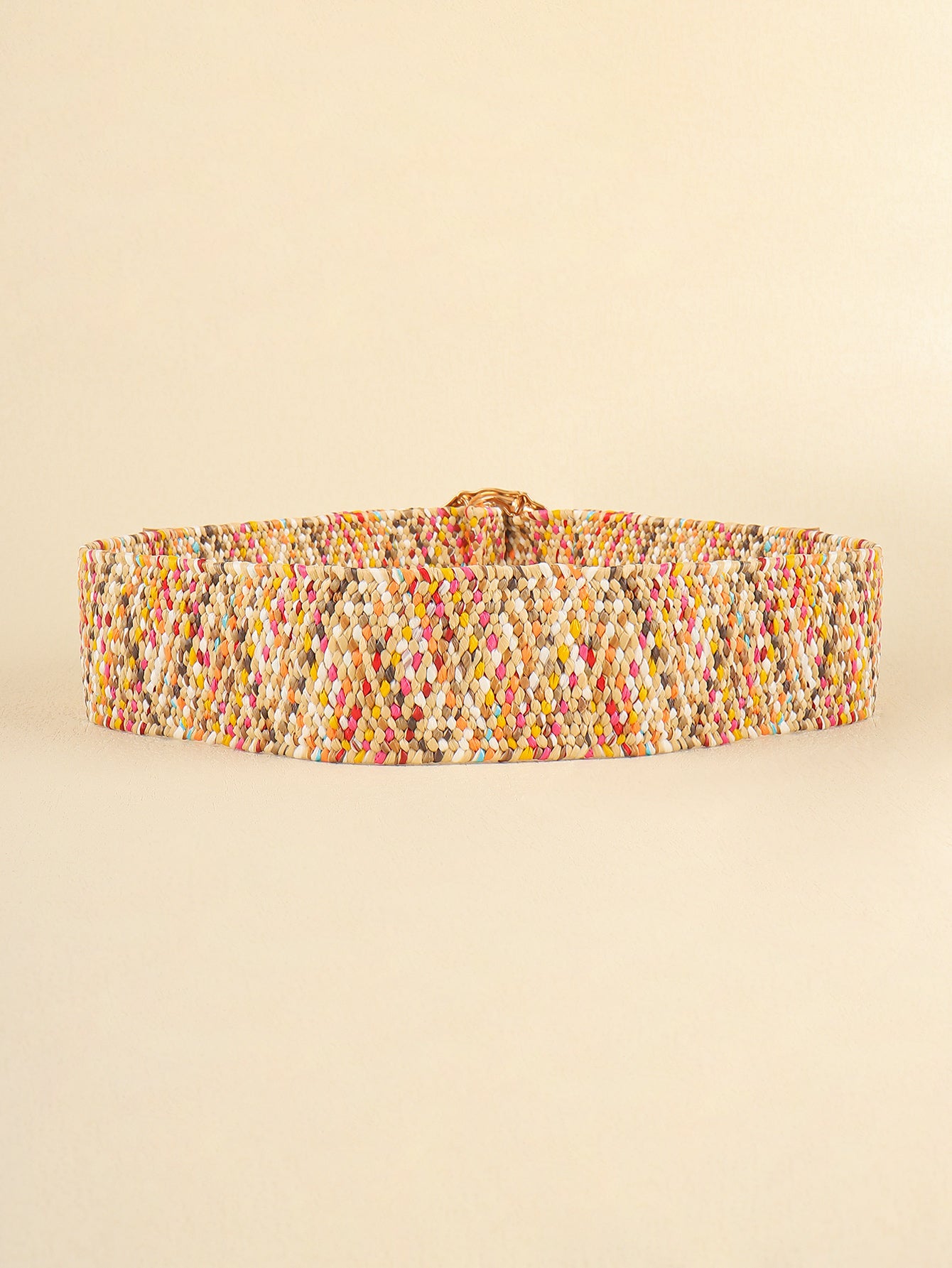 Multicolored Wide Belt 