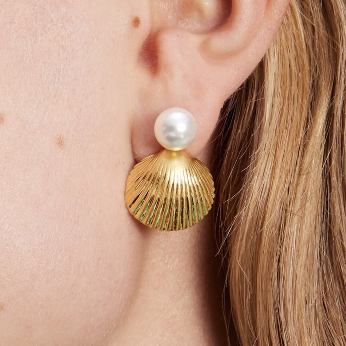 18K Gold-Plated Stainless Steel Shell Shape Earrings 
