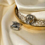 Stainless Steel C-Hoop Earrings 
