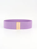 Alloy Buckle Elastic Belt 